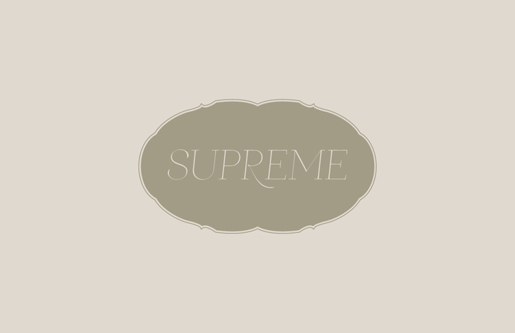 ceft-and-company-ny-agency-supreme-kits-ss10-portfolio-identity-design-750px-03