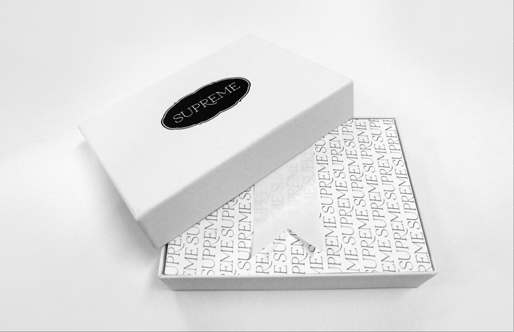 ceft-and-company-ny-agency-supreme-models-kits-ss11-portfolio-package-design-750px-02