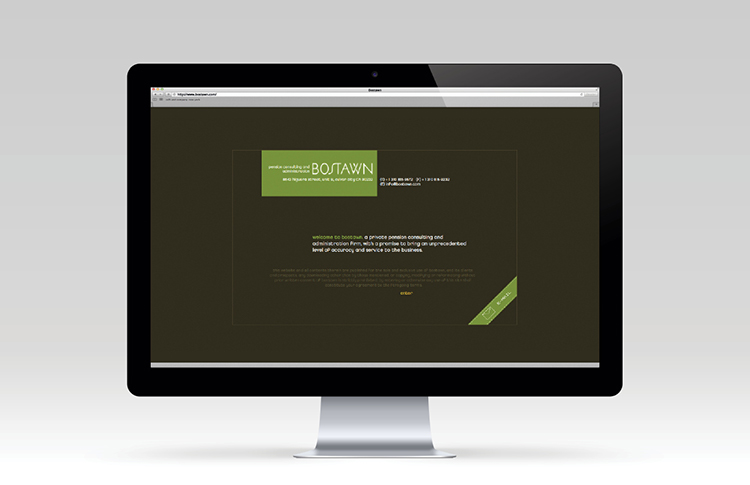 ceft-and-company-ny-agency-bostawn-website-design-00
